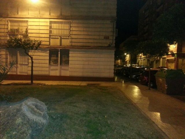 IU-Verdes denuncia la desigualdad de criterio a la hora de eliminar pintadas en edificios públicos y privados