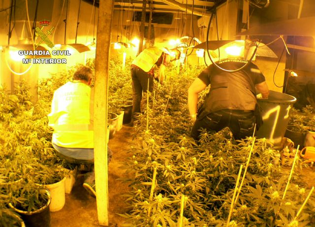 La Guardia Civil desarticula un grupo delictivo dedicado al cultivo y tráfico de marihuana en Murcia