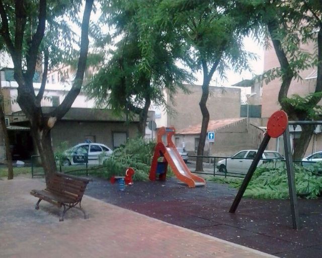 Los socialistas de Puente Tocinos denuncian la caída de dos grandes ramas sobre un parque infantil
