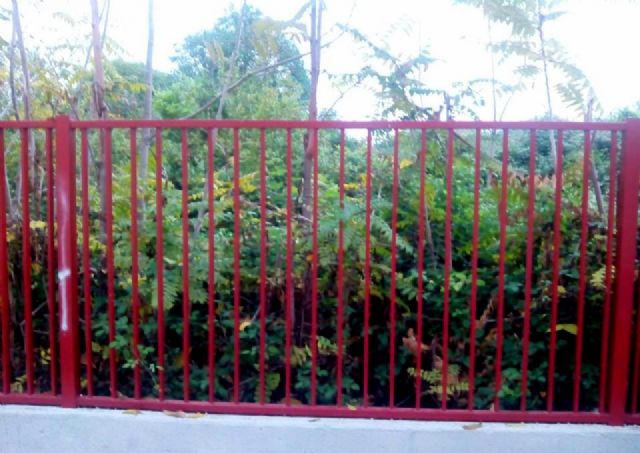 UPyD Murcia pide 'celeridad' para solucionar el problema de insalubridad que afecta al CEIP 'El Molinico' en La Alberca