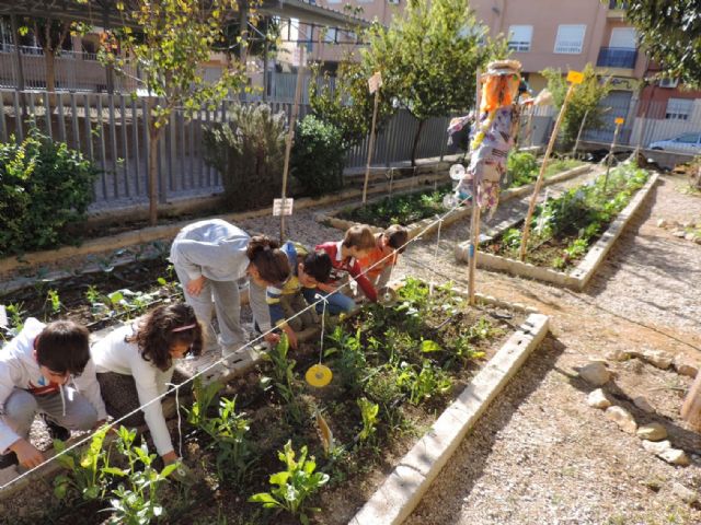 El colegio Infanta Cristina de Puente Tocinos gana el primer premio al huerto escolar ecológico de la región