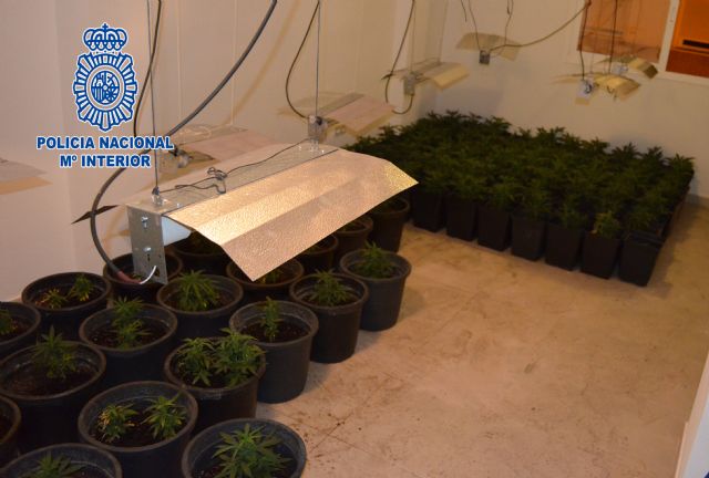 La Policía Nacional descubre una plantación de marihuana en una vivienda tras producirse un incendio