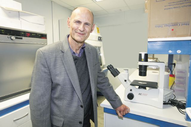 Consiguen generar tejidos y órganos en animales a partir de células pluripotentes