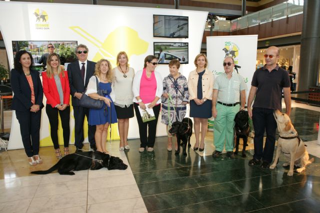 Los perros guía de la ONCE en CC Thader