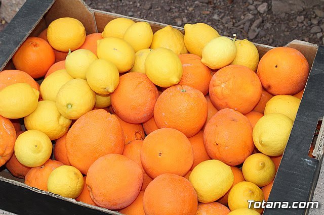 Los mercados de abastos de Murcia se unen para ofrecer a los murcianos un servicio a domicilio gratuito