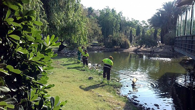El Ayuntamiento realiza la limpieza de los principales lagos de Murcia