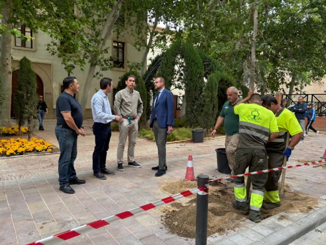 Murcia gana un nuevo corredor verde en la calle Burruezo con la sustitución de bolardos por arbolado urbano