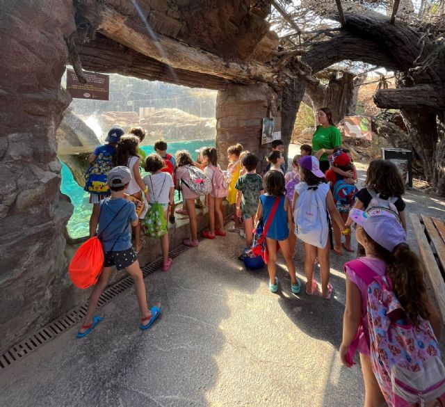 Terra Natura Murcia convierte las vacaciones en una aventura con su escuela de verano y campus de adolescentes