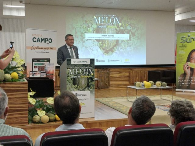 El melón de la Región de Murcia llega ya a 36 países y supera los 155 millones de euros en exportaciones