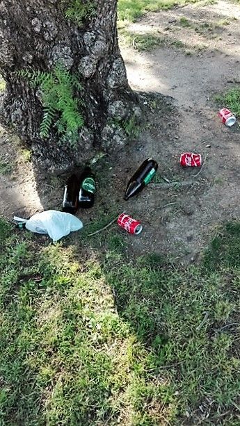 El PSOE denuncia la falta de limpieza en varias zonas de ramblas y jardines de Torreagüera y Alquerías