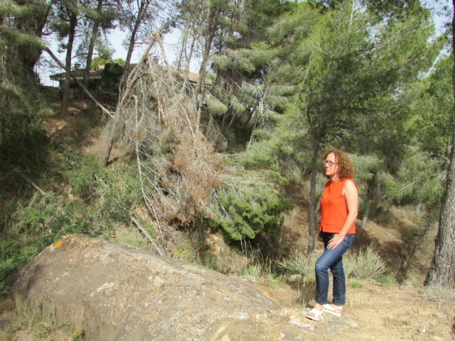 Ahora Murcia denuncia el estado de dejadez del Parque Regional de Carrascoy