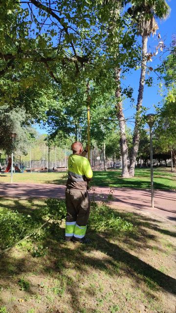 El Ayuntamiento realiza trabajos de refaldeo en más de 3.000 árboles para mejorar la seguridad de viandantes y vehículos