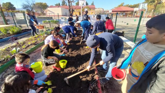 El Ayuntamiento impulsa la educación ambiental en los colegios a través de los Huertos Escolares Ecológicos y las Escuelas Verdes