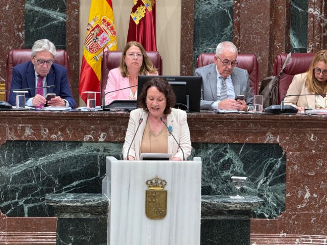 María Marín, a Isabel Ayala por el escándalo de las prótesis del SMS: 'Usted es una consejera zombie que debería haber dimitido de la mano del se&ntilde;or Pedre&ntilde;o'