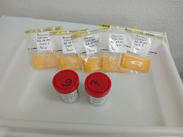 Salud ofrece recomendaciones para evitar posibles casos de salmonelosis por el aumento de las temperaturas