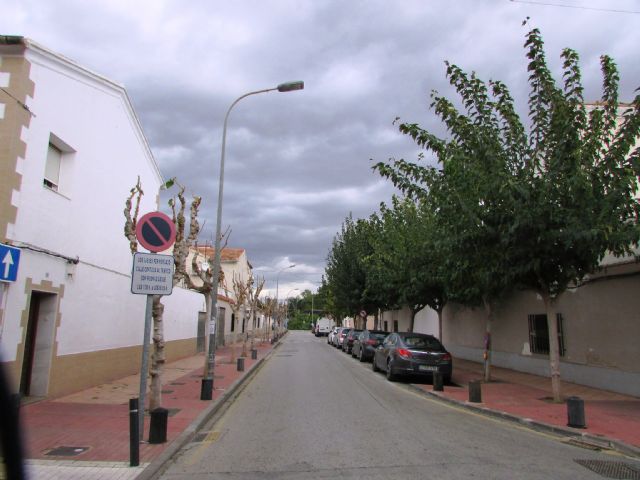Ahora Murcia demanda transparencia y criterios ecológicos en la realización de podas y reposición del aborlado urbano