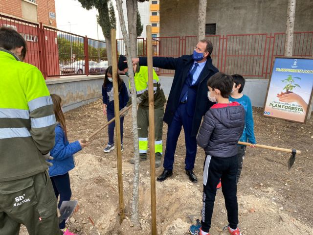 El Plan Foresta llega a los colegios de los barrios de Conexión Sur