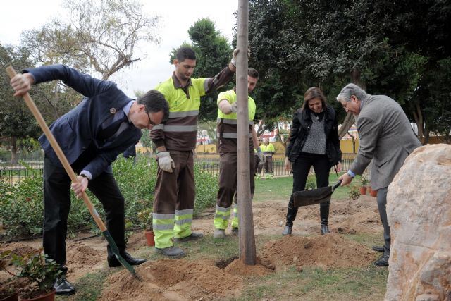 Murcia rinde homenaje a las personas que se enfrentan al cáncer con la plantación del Árbol de la Vida en El Malecón