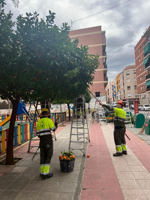 Los recientes episodios de viento en el municipio se saldan con unas 60 incidencias