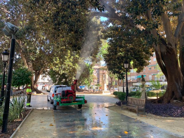 Ducha refrescante de seguridad para más de una decena de ficus de Murcia