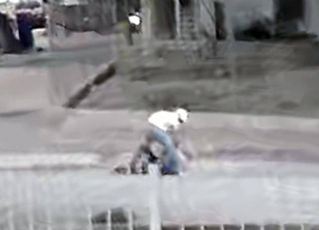 La Guardia Civil detiene al autor de un robo a un anciano en El Raal