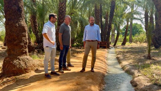 El Ayuntamiento de Murcia incorpora 16 nuevas palmeras al palmeral de Santiago y Zaraiche