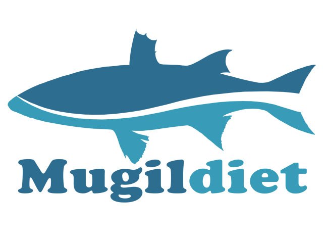 La UMU y la Universidad de Cádiz coordinan un proyecto para diseñar nuevas dietas blandas para lisas