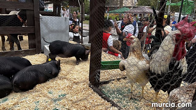 Los hoteles de Murcia rozan el lleno técnico en Viernes Santo y en el Entierro de la Sardina de 2024