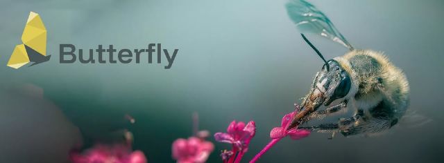 La UMU participará con un laboratorio 'vivo' en el proyecto BUTTERFLY para investigar la labor de los polinizadores