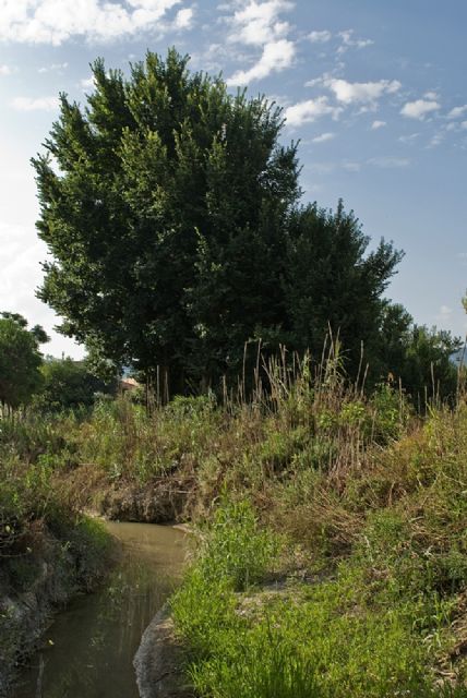 HUERMUR exige que no se deje sin agua a la huerta y a los agricultores
