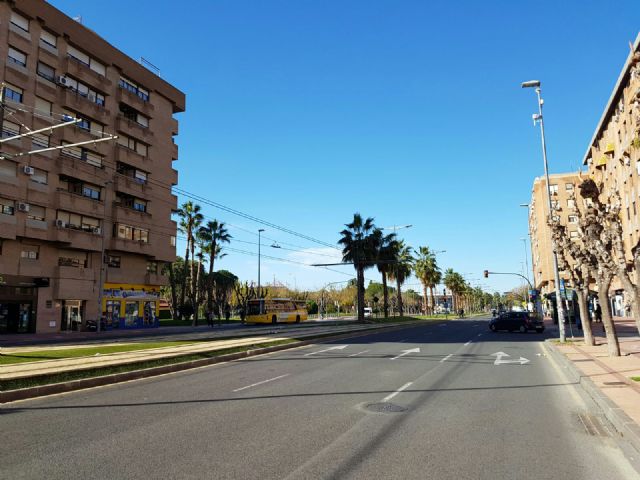 Parques y Jardines comienza la poda del medio centenar de palmeras de las avenidas Juan Carlos I y Juan de Borbón