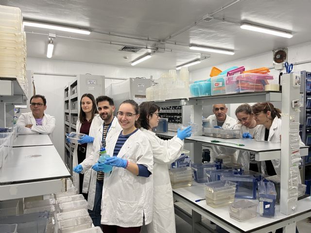 Una investigación de la UMU descubre un tratamiento potencial para la anemia de Diamond-Blackfan con fármacos ya existentes