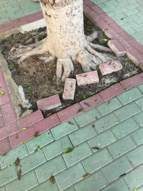 Cambiemos Murcia acusa a Cs y PP de presentar la iniciativa sobre libros de texto en un centro educativo 'que tienen abandonado'