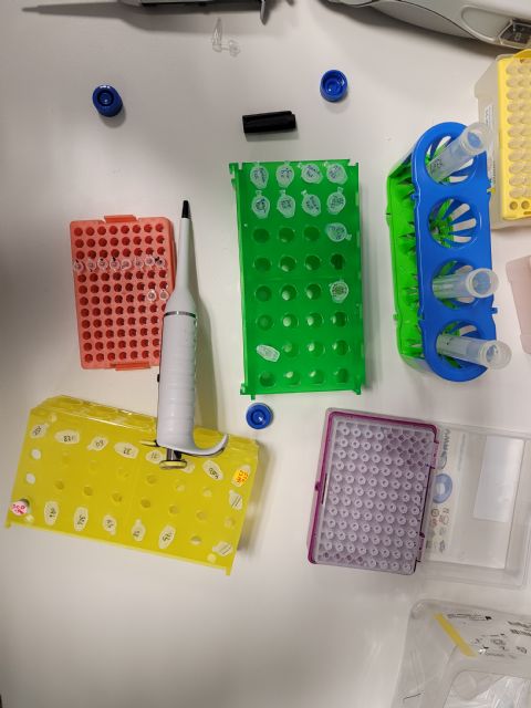 La UMU patenta un nuevo método para cuantificar la 'hormona de la felicidad'