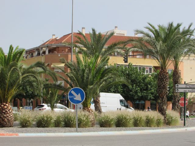 Denuncian que la especie invasora ´rabo de gato´ sigue presente en espacios públicos del municipio una vez finalizado el supuesto plan de erradicación del PP