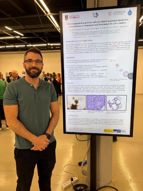 Interlab-UMU implementa por primera vez en Espa&ntilde;a una tecnología de investigación veterinaria a partir de glándulas salivales porcinas