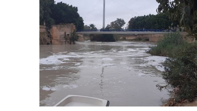 El CEBAS-CSIC concluye que las espumas del río Segura tienen un origen predominantemente natural
