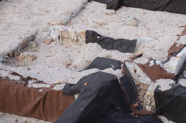 Huermur denuncia en Cultura nuevos derrumbes y proliferación de maleza en el yacimiento de San Esteban