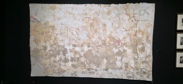 El Ayuntamiento de Murcia anuncia los ganadores del certamen CreaMurcia 2025 en las categorías de Artes Plásticas y Cómic