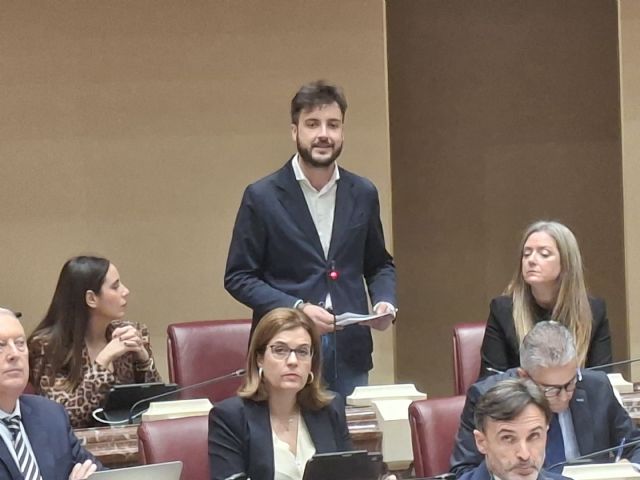 Landáburu: 'El PSOE miente a sabiendas y utiliza una vez más el principal problema de los ciudadanos, la vivienda, para confrontar'