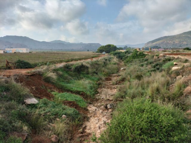 La CHS adjudica el proyecto de restauración hidrológico forestal del barranco de Ponce y la rambla de Carrasquilla