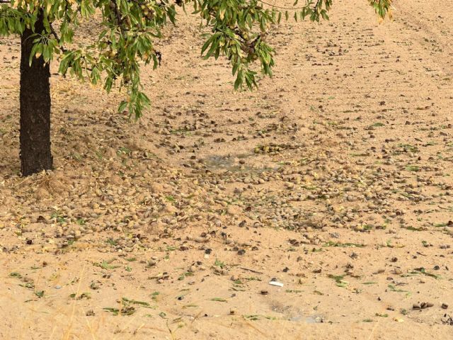 La tormenta registrada durante la tarde del 10 de agosto recorrió el norte y parte del centro de la Región de Murcia
