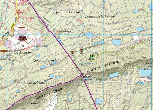 Incendio forestal en Zeneta (Murcia)