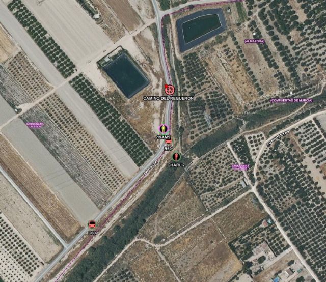 Incendio de cañas y tarays en Sangonera la Verde, Murcia