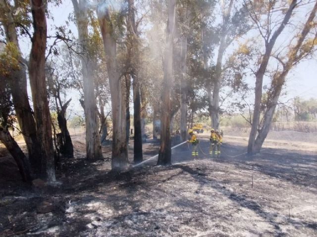 Efectivos del Plan Infomur han extinguido un incendio de vegetación declarado en El Palmar