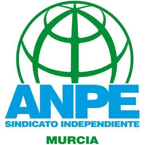 ANPE exige a la Consejería de Educación medidas inmediatas ante el agravio fiscal que sufre el profesorado