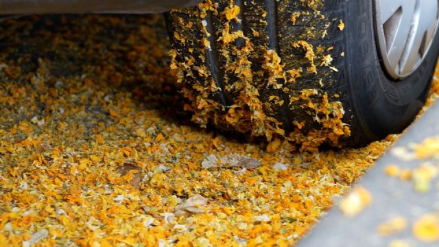 El PSOE reclama un refuerzo urgente de la limpieza y una mejor coordinación municipal ante la acumulación de restos vegetales en la vía pública