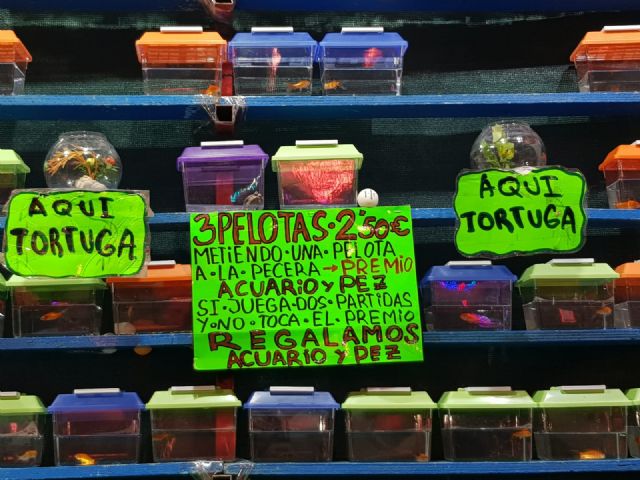 Cambiemos Murcia denuncia el uso de animales como premio en la Feria