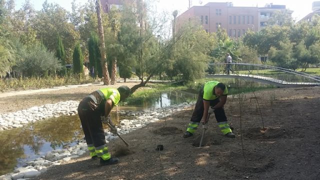 El Servicio de Parques y Jardines planta más de 5.000 ejemplares de rivera y palustre en la ría del Jardín de la Seda