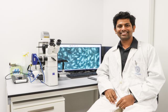 Investigadores de la UCAM validan un compuesto marino para tratar enfermedades graves